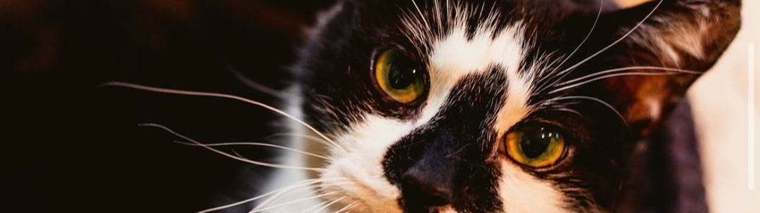 Zabház to celebrate expansion with ‘Friends + Lovers’ pop-up