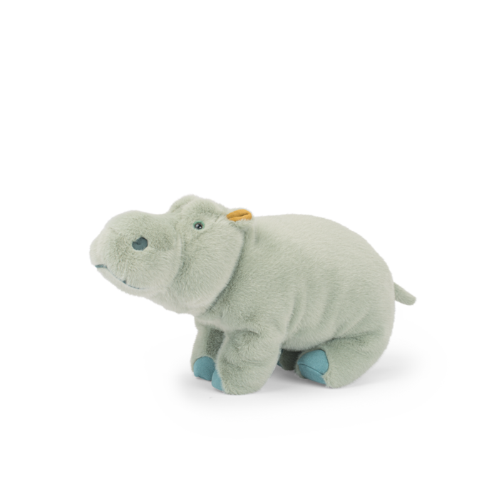 Large hippopotamus - All Around the World