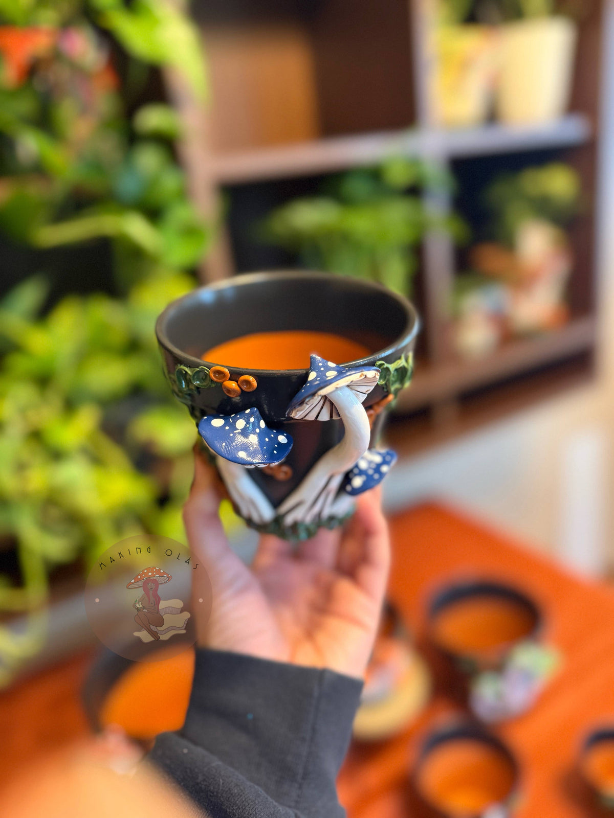 Plant Pots | Mushrooms
