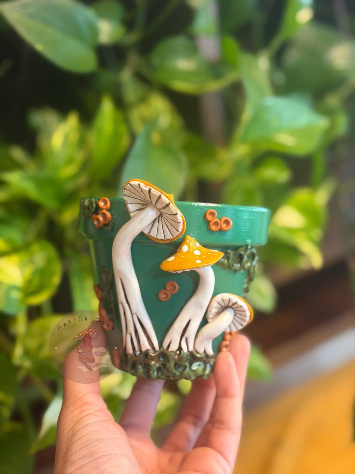 Plant Pots | Mushrooms