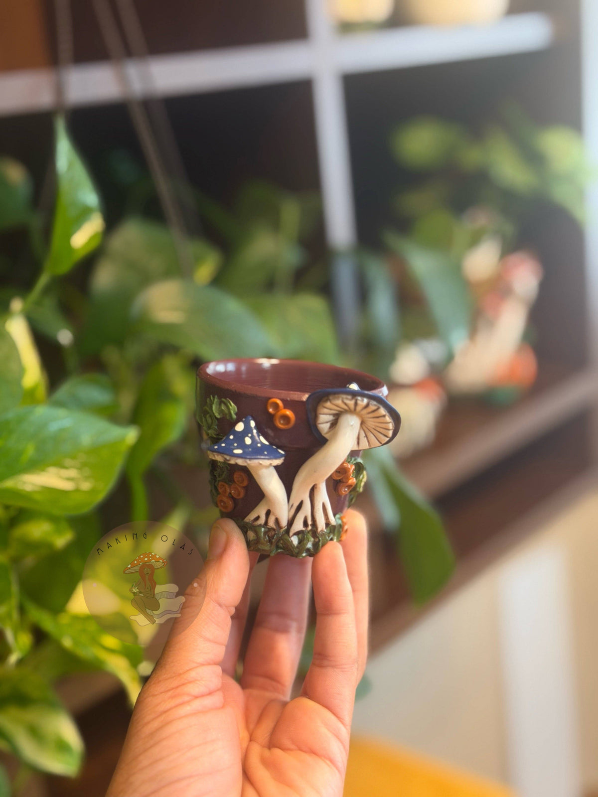 Plant Pots | Mushrooms