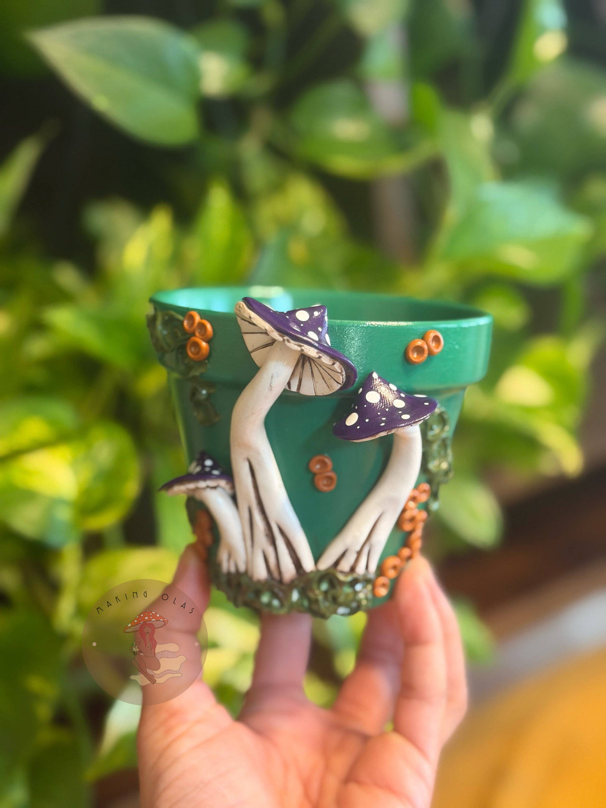 Plant Pots | Mushrooms