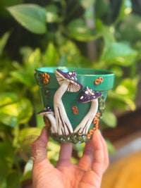 Plant Pots | Mushrooms