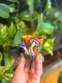 Plant Pots | Mushrooms