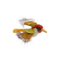 Green woodpecker - All Around the World