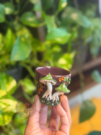 Plant Pots | Mushrooms