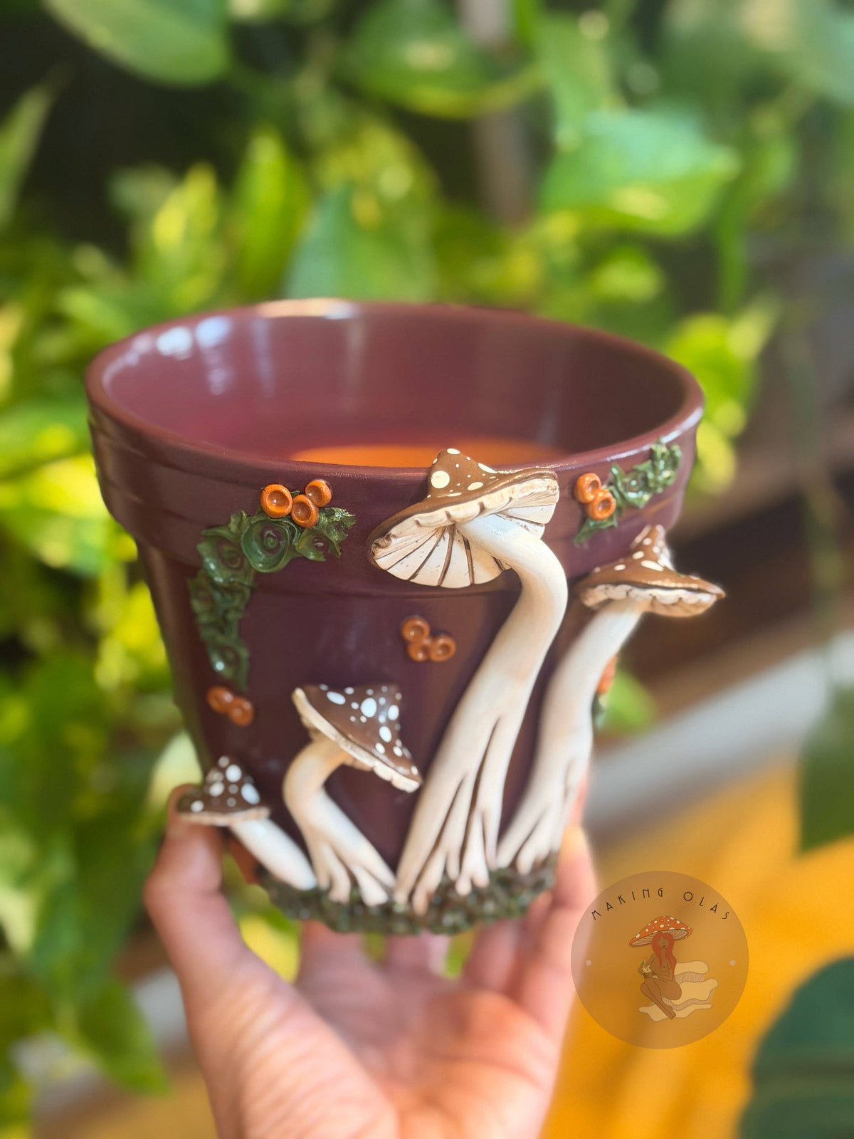 Plant Pots | Mushrooms