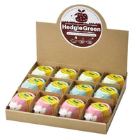 Hedgie Green - Assortment 3 Colors/Styles