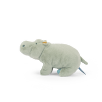 Large hippopotamus - All Around the World