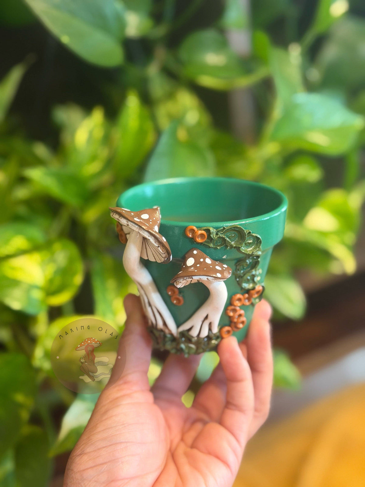 Plant Pots | Mushrooms