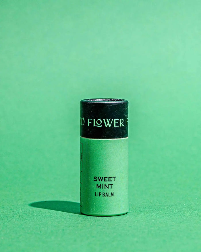 Sweet Mint Organic Lip Balm / 0.3 oz Biodegradable Tube 🌿