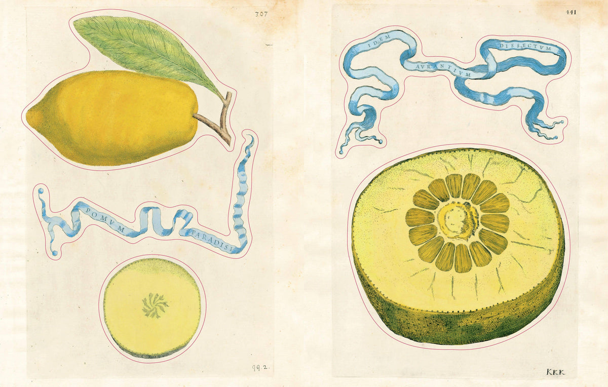 John Derian Sticker Book II