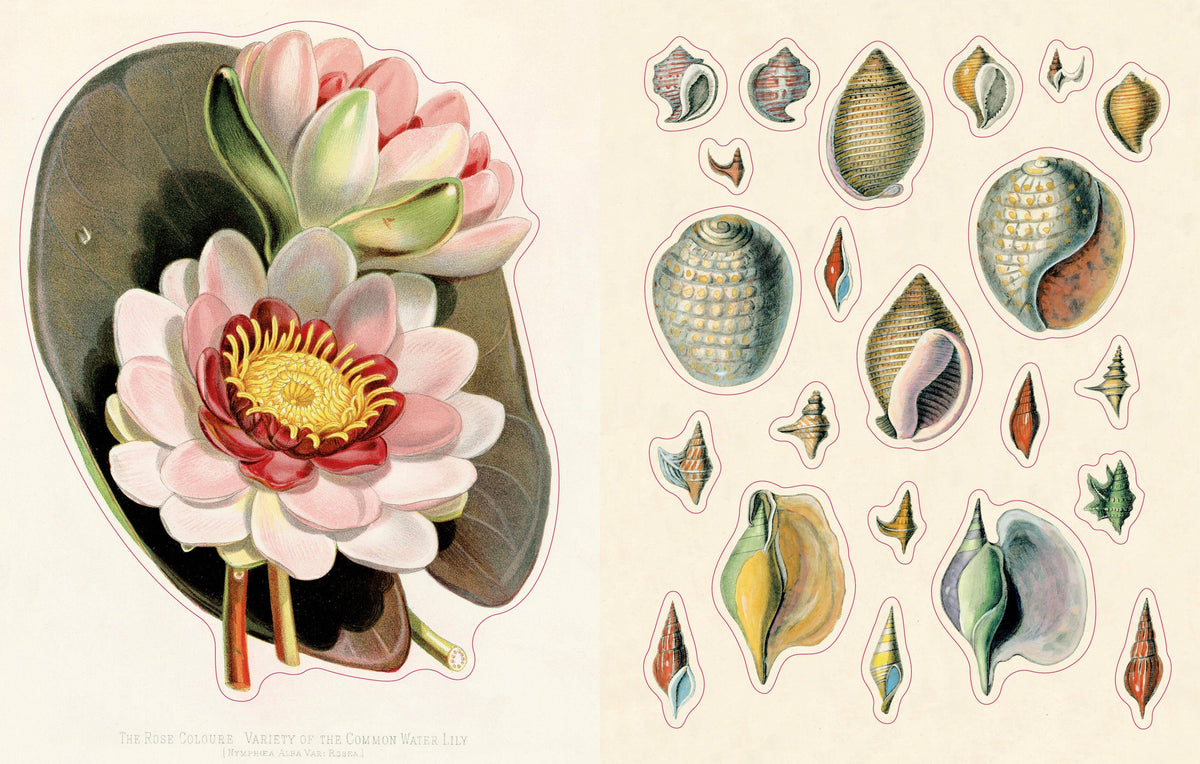 John Derian Sticker Book II