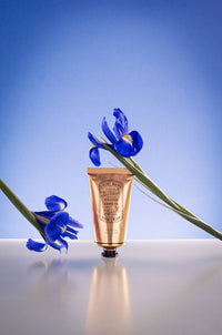 2.6 fl oz  Blooming Iris Hand Cream