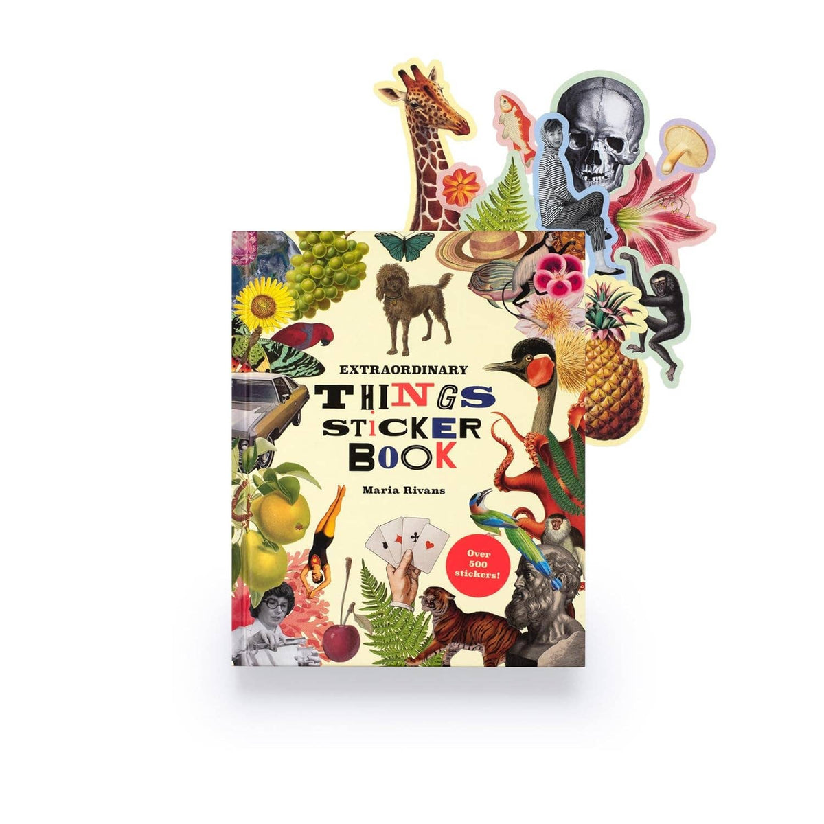 Extraordinary Things Sticker Book