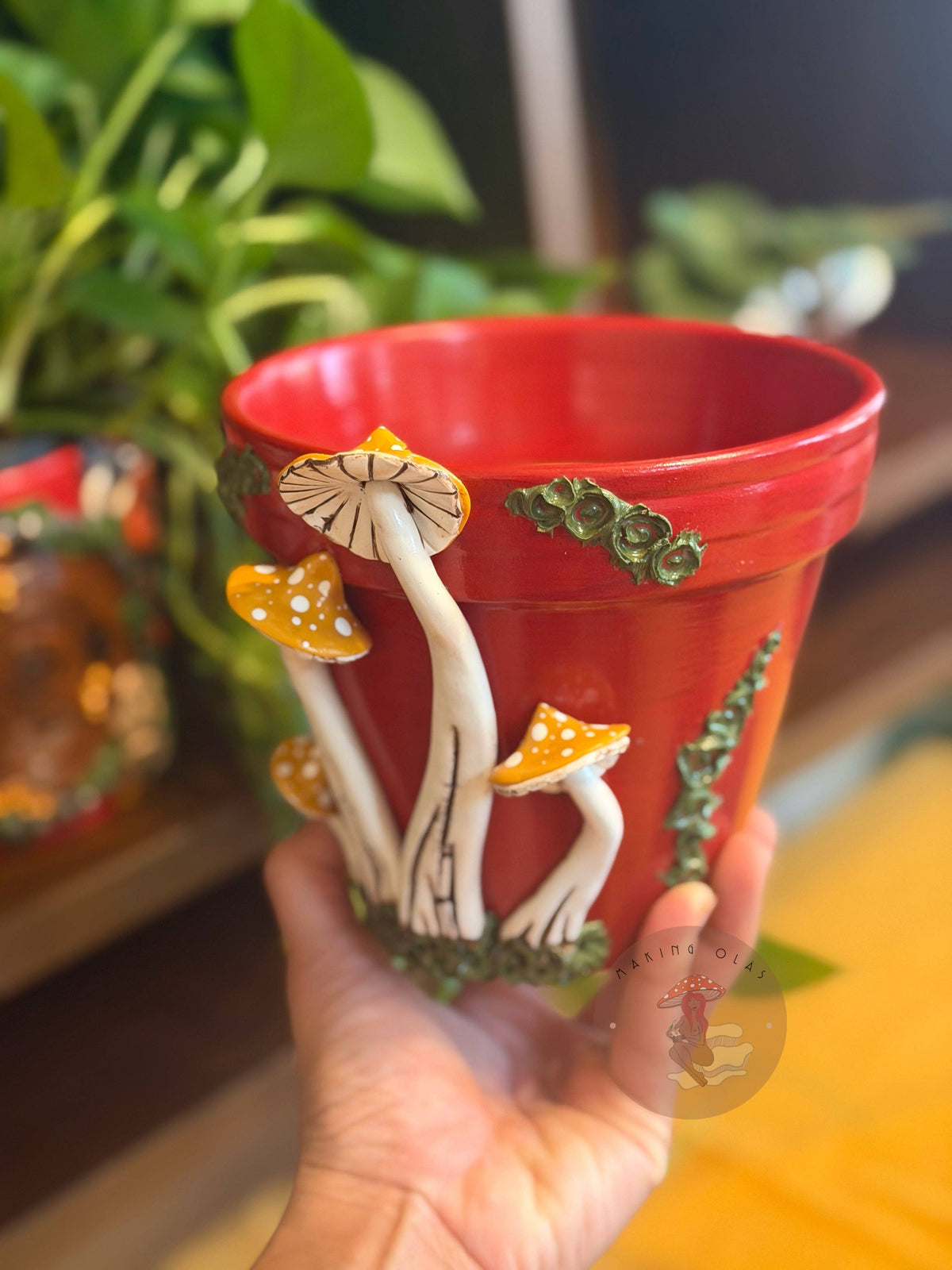 Plant Pots | Mushrooms