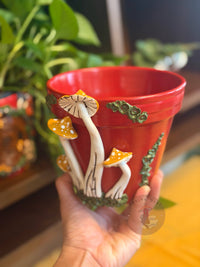 Plant Pots | Mushrooms