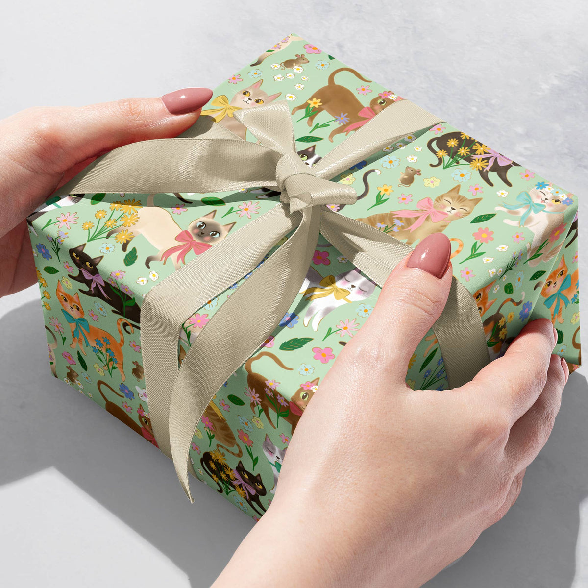Caturday - Gift Wrap Rolls