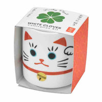 Lucky Plant - Beckoning Cat