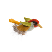 Green woodpecker - All Around the World