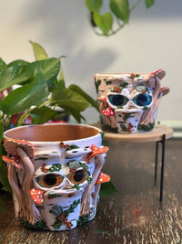 Plant Pots | Grumpy Tree Spirits