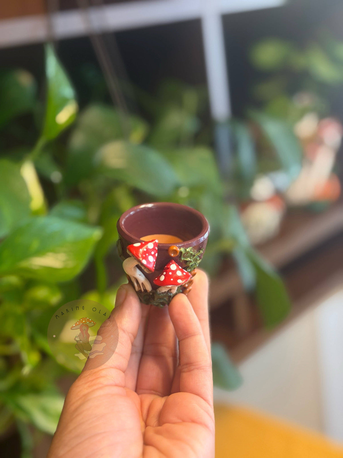 Plant Pots | Mushrooms