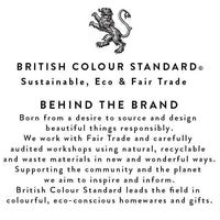 BRITISH COLOUR STANDARD - Enamel Soap Dish in Stone White