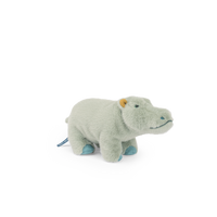 Small hippopotamus - All Around the World