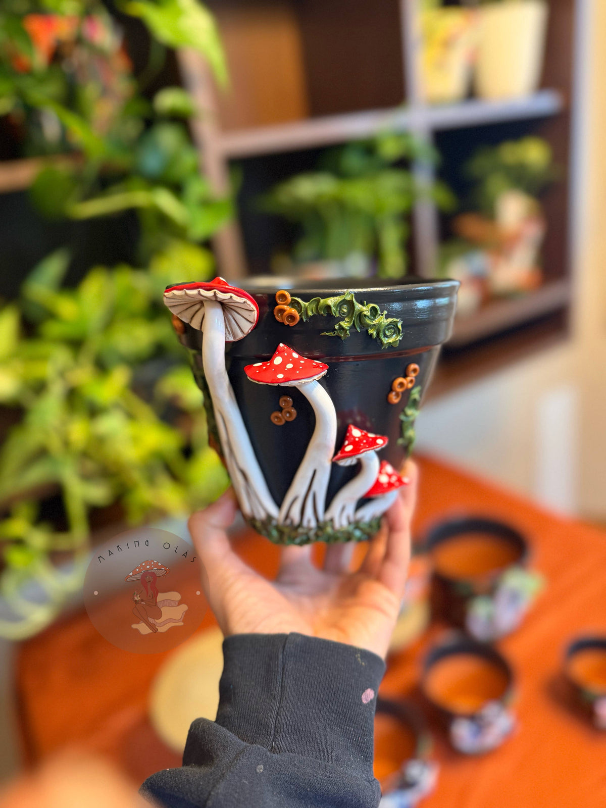 Plant Pots | Mushrooms