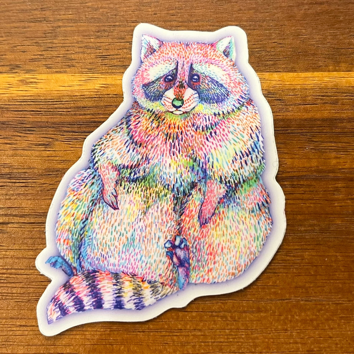 Cute Colorful Raccoon Magnet