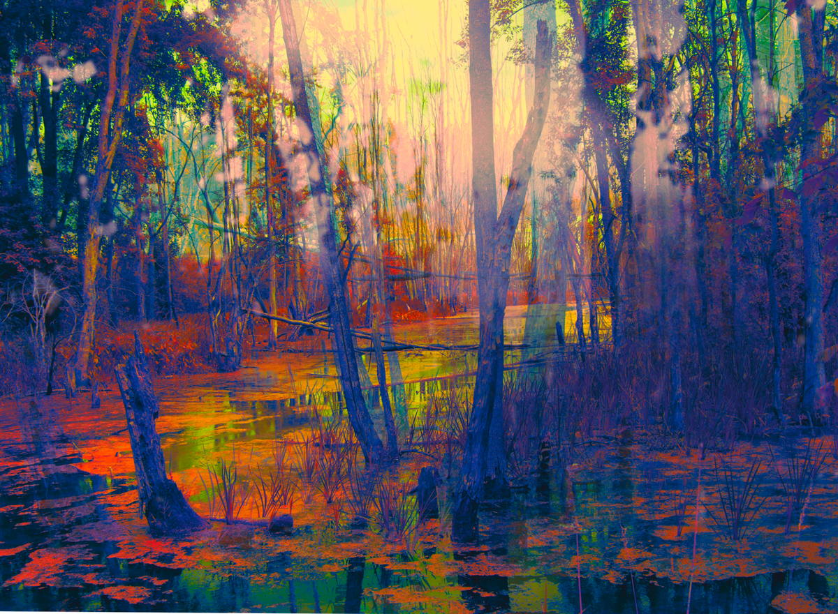 Nancy Tobin Mini Print / Super Luxe Postcard