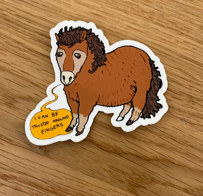 Mini horses who lie (Hank)