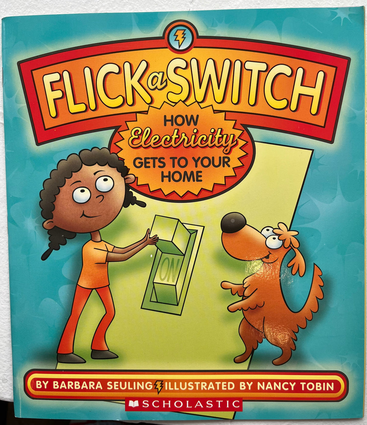 Flick a Switch - How Electricity Gets to Your Home Illustrated by Nancy Tobin - Softcover