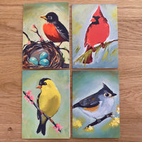 Backyard Birds - Notecard 4 Pack