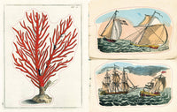 John Derian Sticker Book II