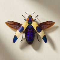 Blue Pink Jewel Beetle Shadow Box (7x7) Real Framed