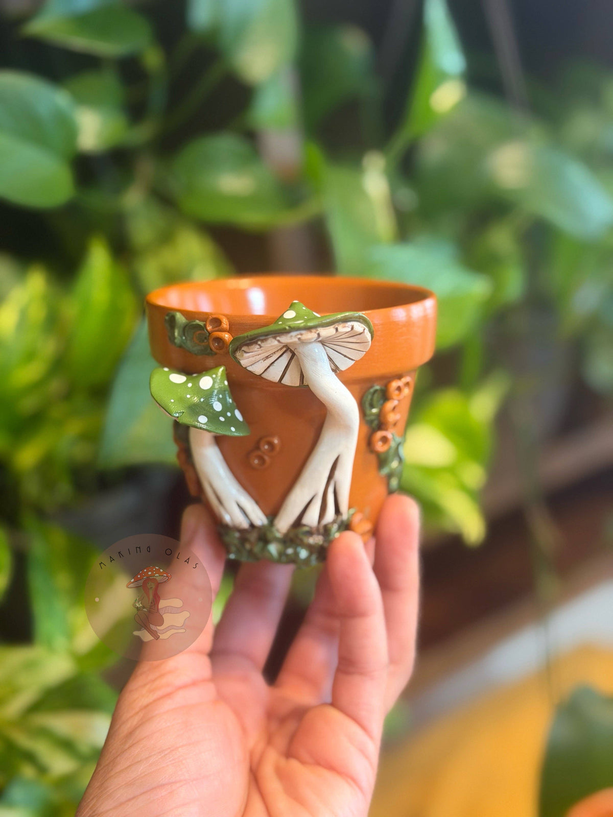 Plant Pots | Mushrooms