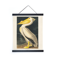 Vintage White Pelican Audubon Print w/ optional frame