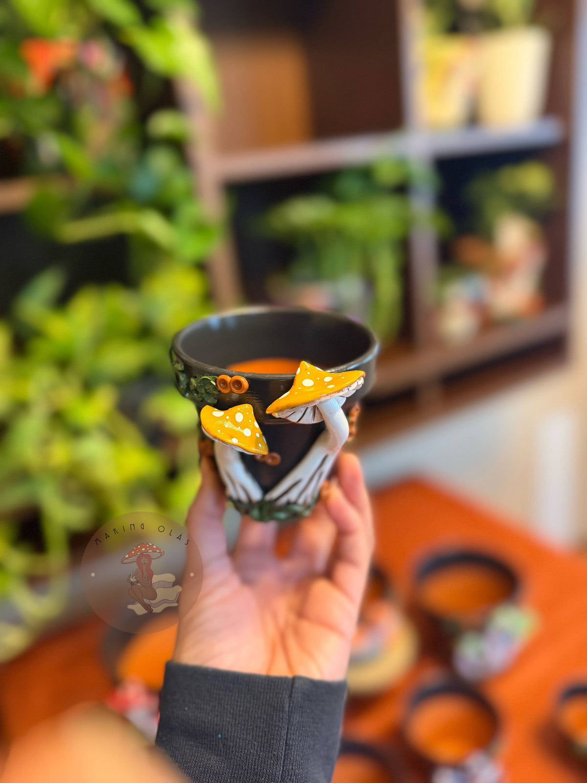 Plant Pots | Mushrooms