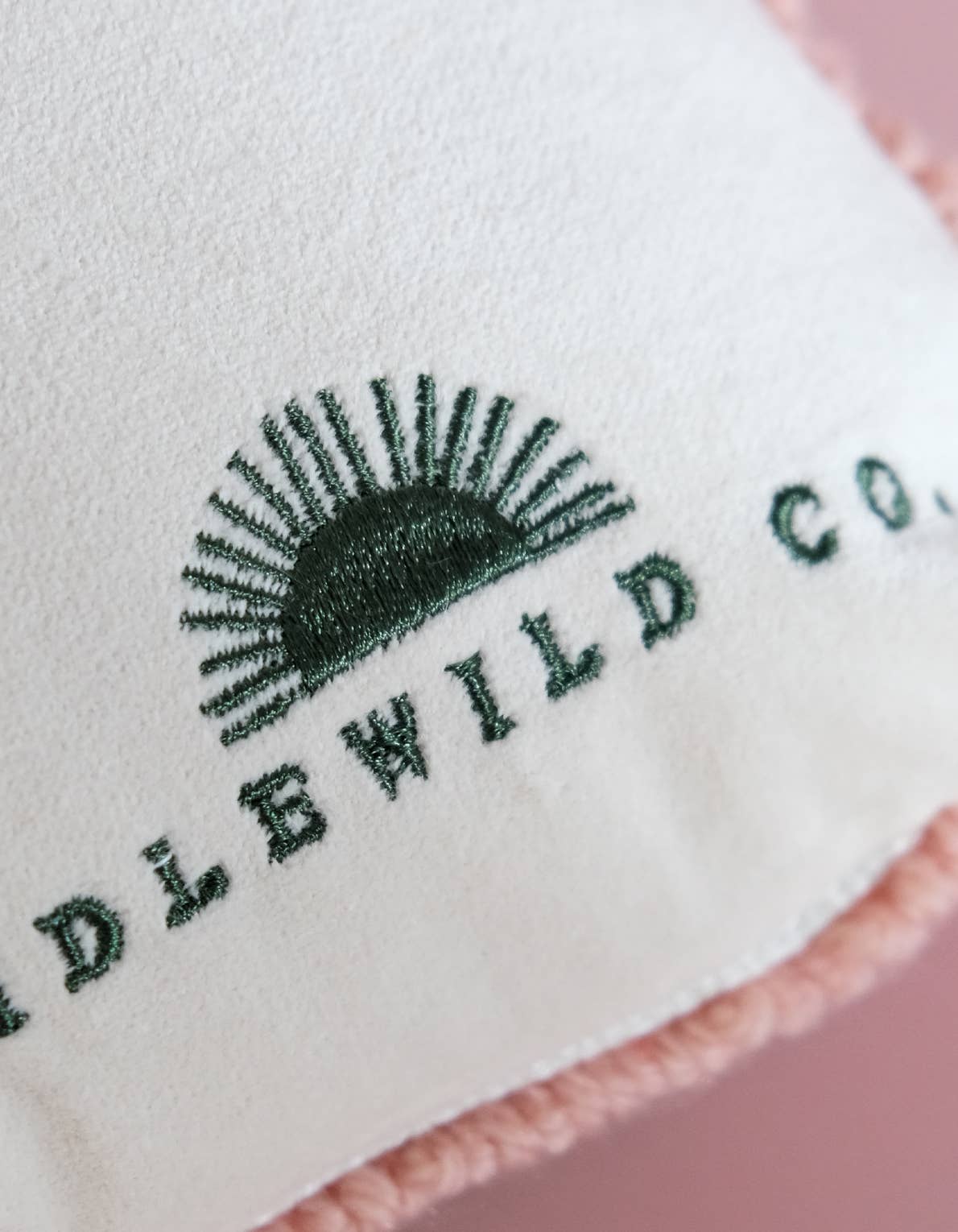 Throw Pillow | Alligator