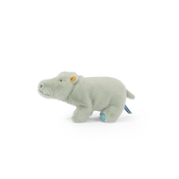Small hippopotamus - All Around the World