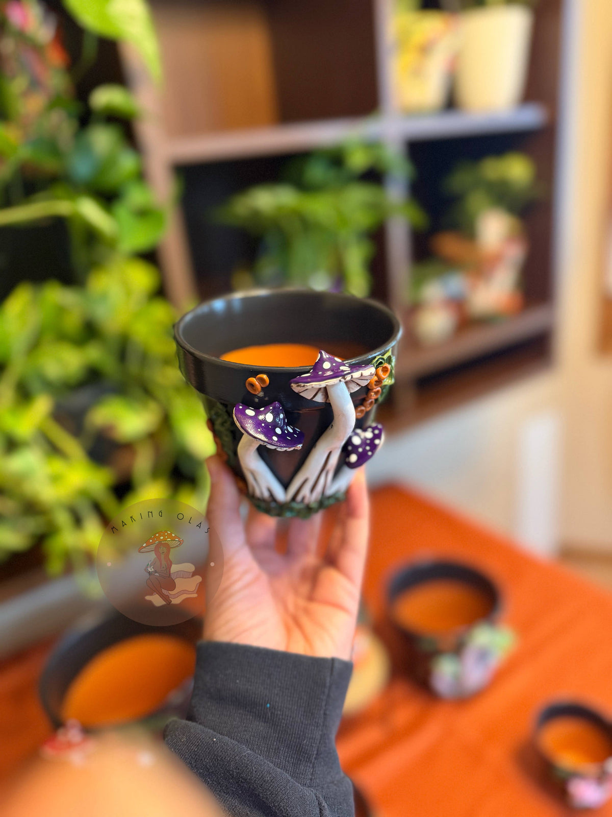 Plant Pots | Mushrooms