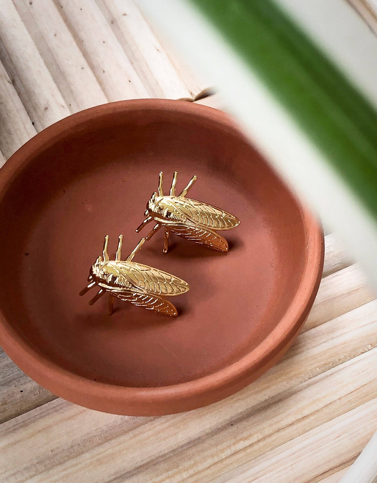 Cicada Earrings / Natalie Clare