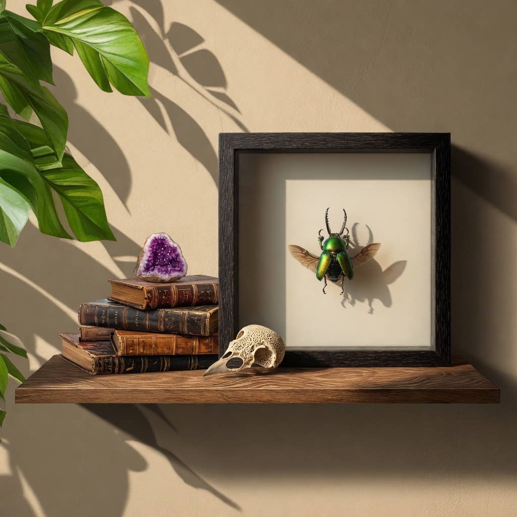 Green Stag Beetle Wing Spread Shadow Box (7x7) Real