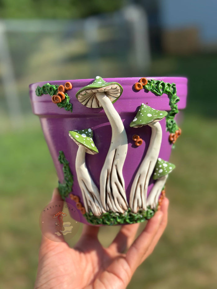 Plant Pots | Mushrooms