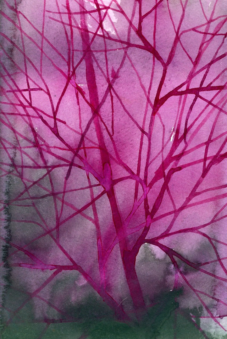 Dark Pink Tree — Study
