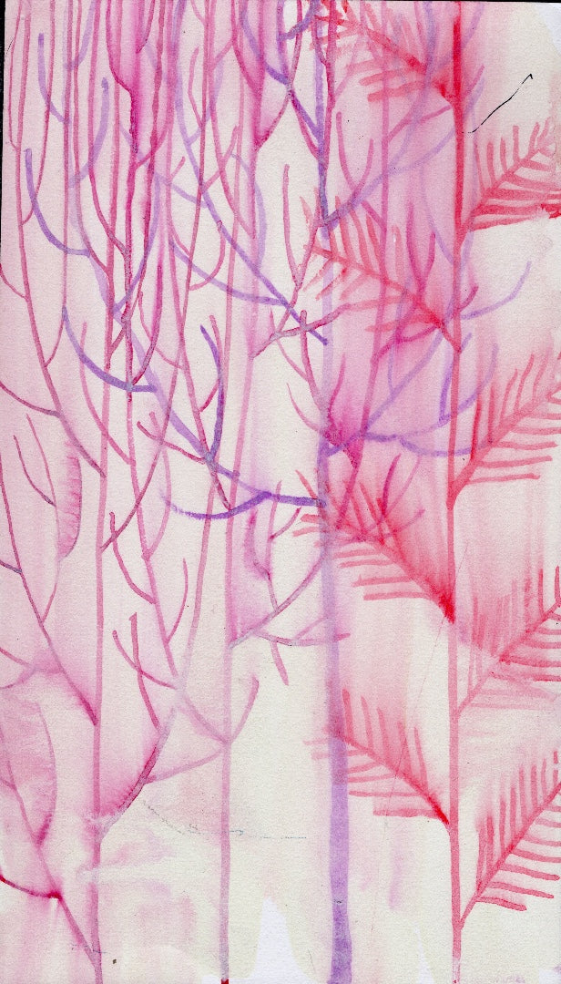 Pink Pines — Study